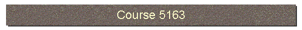 Course 5163