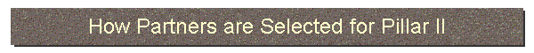 How Partners are Selected for Pillar II